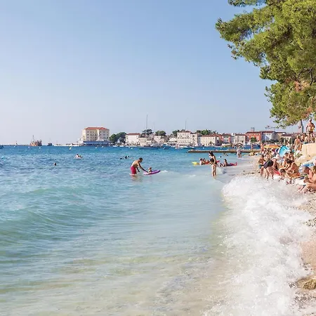 1 Bedroom Amazing In Apartament